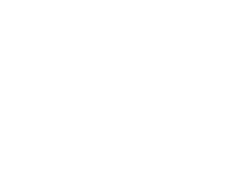Walsh's Bar & Grill Logo